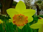 20070309 09.jpg